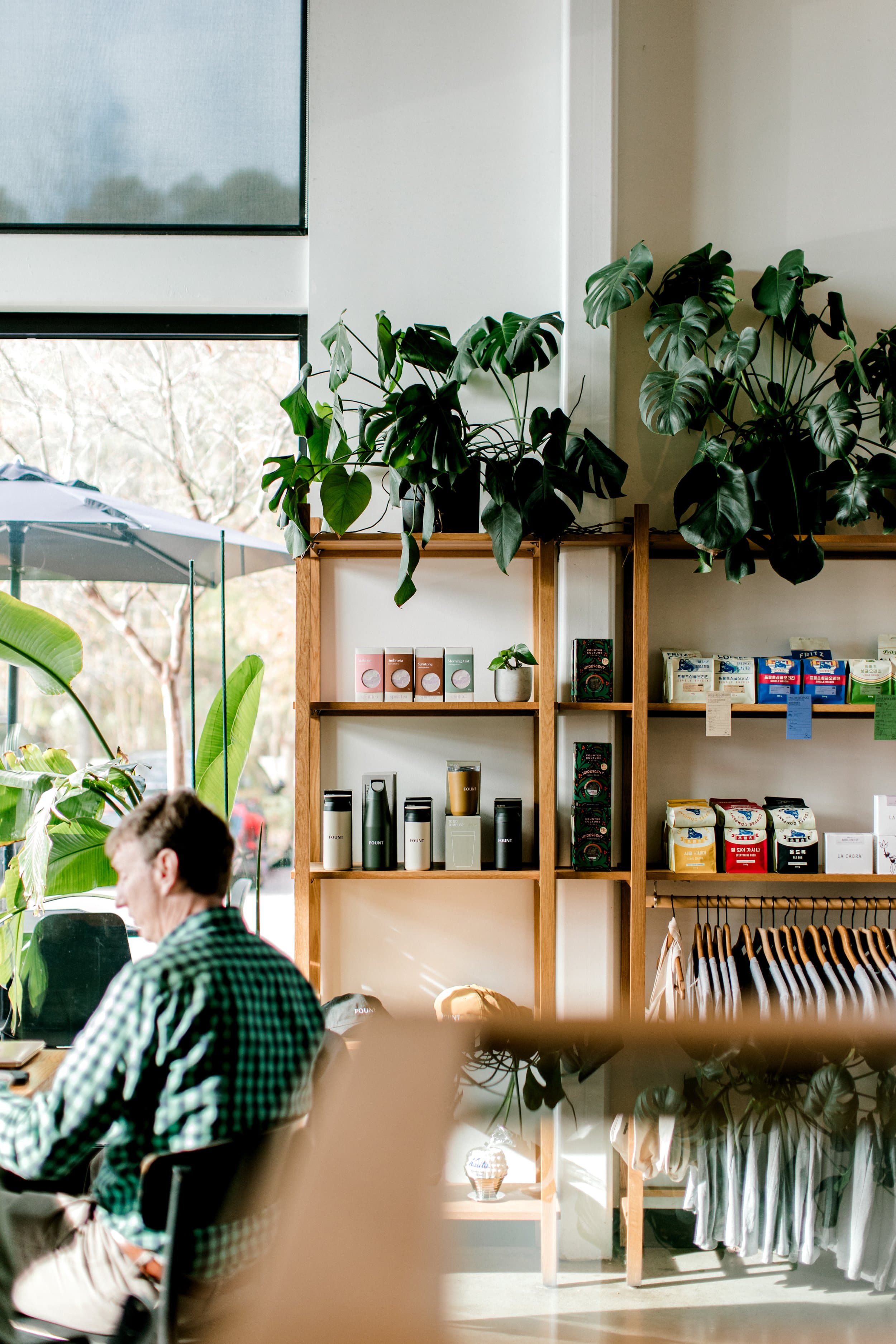 Plants, light-filled windows, and café seating at Fount Coffee + Kitchen